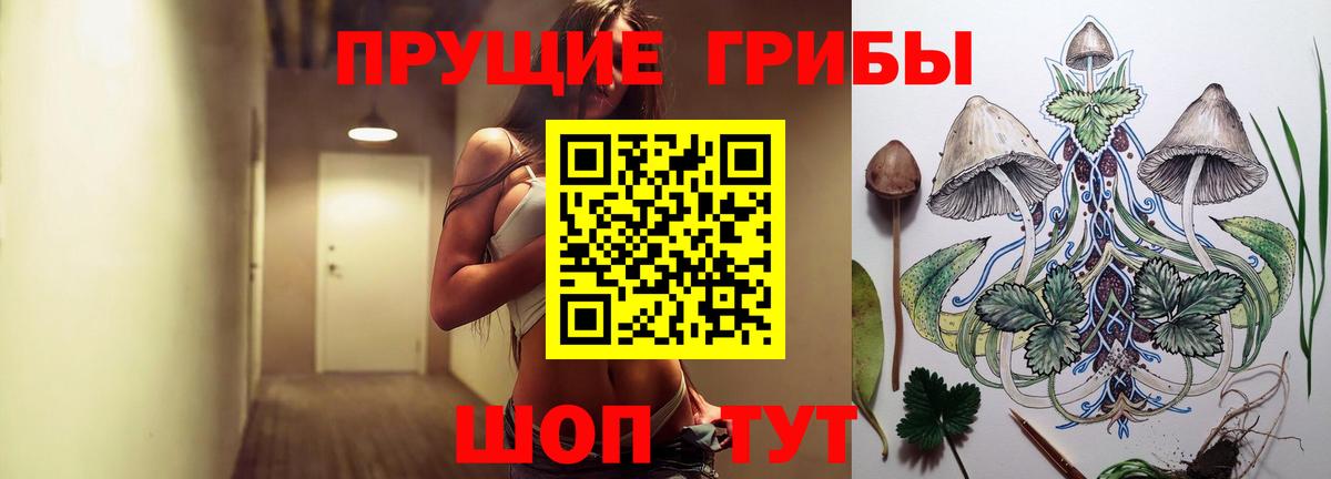 закладки  Галлюциногенные грибы MAGIC MUSHROOMS  Вход с VPN  Торжок  Псилоцибиновые грибы мицелий 