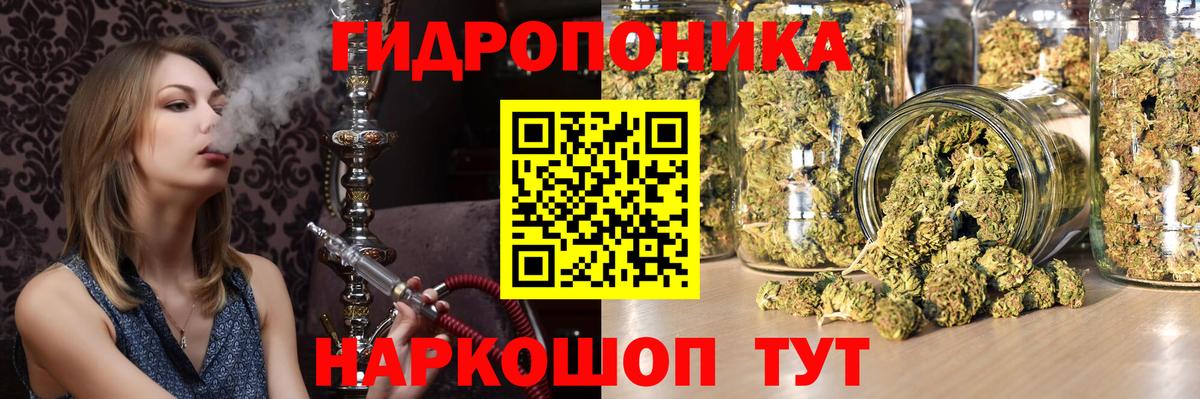 Каннабис SATIVA & INDICA  Вход с VPN  Торжок  Канабис SATIVA & INDICA  Шишки марихуана индика  МАРИХУАНА THC 21% 